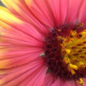 Meet your Posher, Tawni